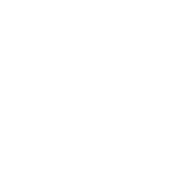 Spotify Custom Icon Download